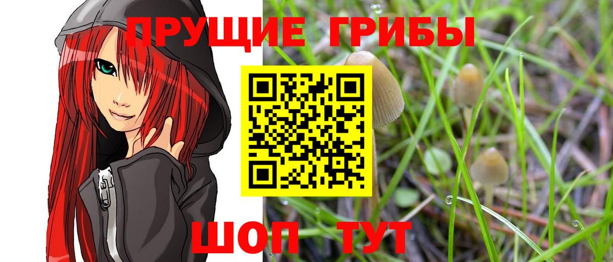 Тихорецк  Галлюциногенные грибы MAGIC MUSHROOMS  Вход с VPN 