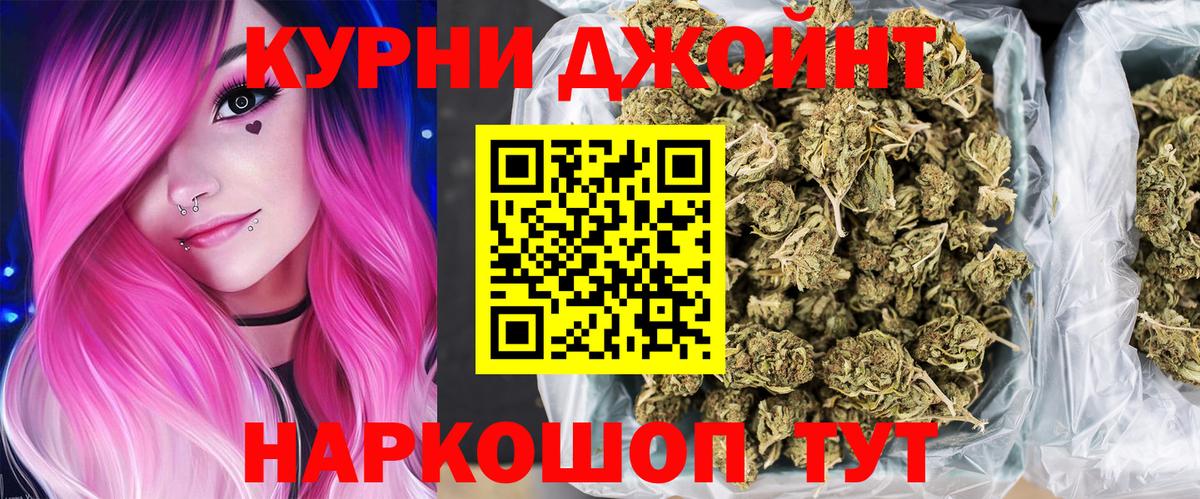 Конопля гибрид Тихорецк